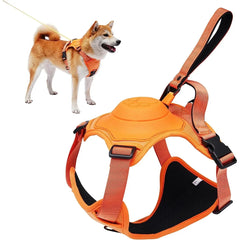 All-in-One Dog Harness & Retractable Leash