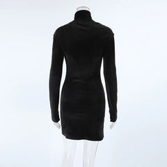 Velvet Turtleneck Long Sleeve Dress