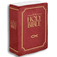 The Bible-Inspired Pillow