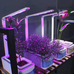 Hydroponic Indoor Herb Garden Kit