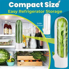 Herb Saver: Freshness Container For Kitchen（private listing U2248108）