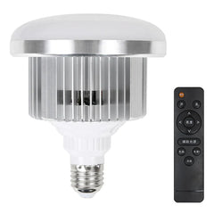 LED Fill Light