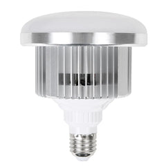 LED Fill Light