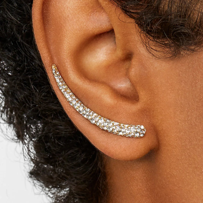 Aligned Earring