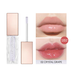 Moisturizing Transparent Lip Gloss