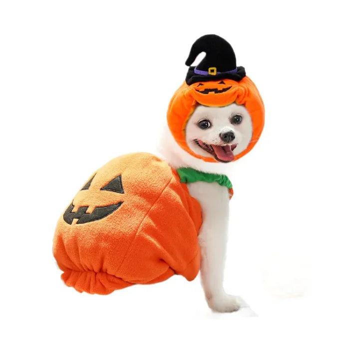 Pumpkin Paws Halloween Hat